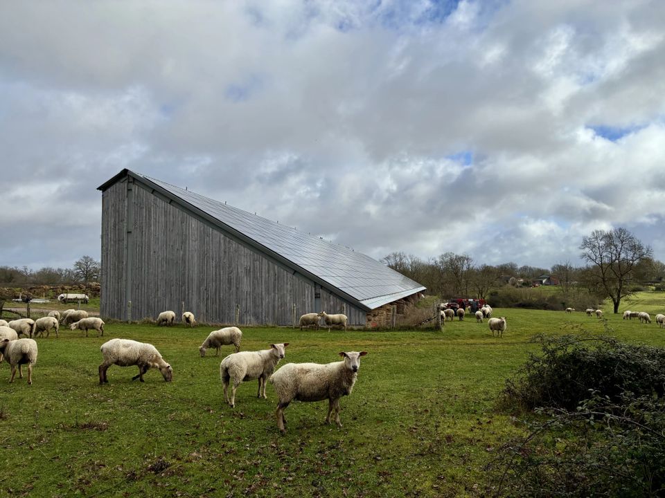 Villa i Availles-Limouzine, Vienne - foto 4