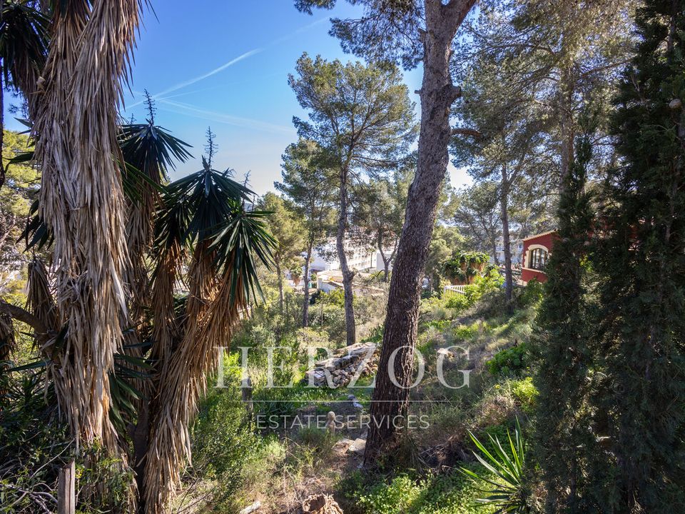 Helårsgrund i Peguera, Mallorca - foto 4