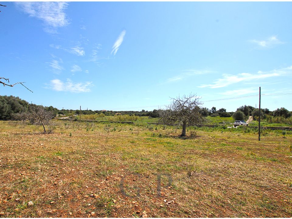 Helårsgrund i Sant Llorenc Des Cardassar, Mallorca - foto 3