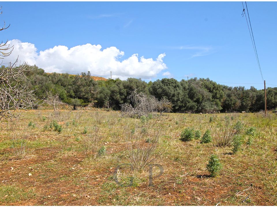 Helårsgrund i Sant Llorenc Des Cardassar, Mallorca - foto 4