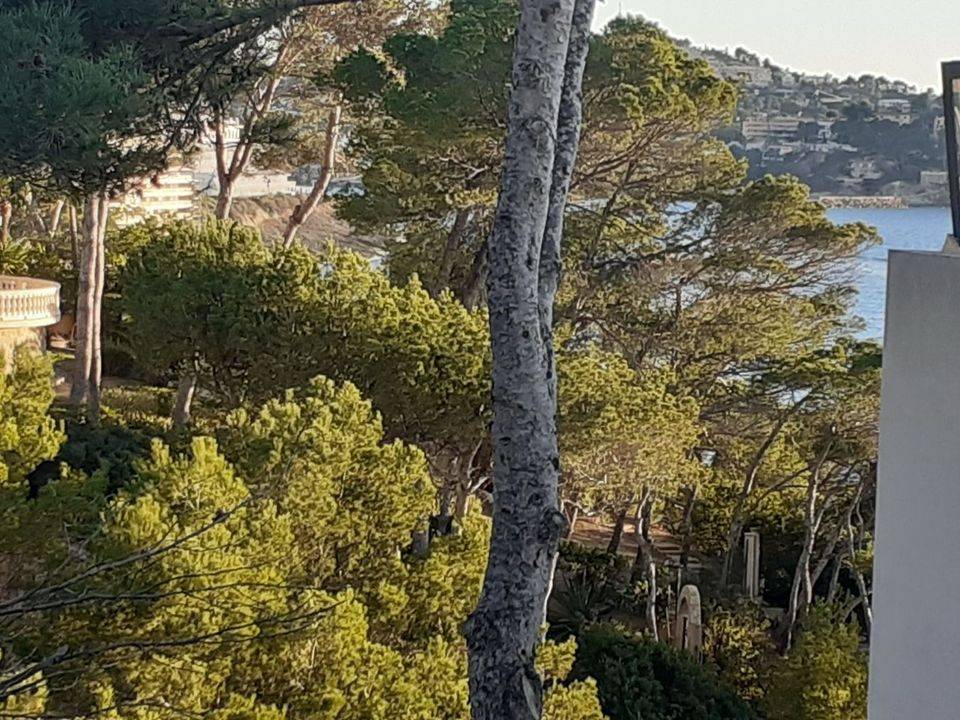 Villa i Costa De La Calma, Mallorca - foto 3