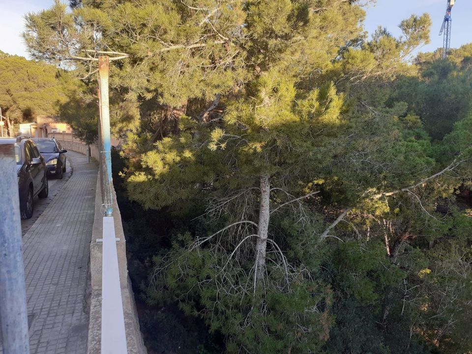 Villa i Costa De La Calma, Mallorca - foto 3
