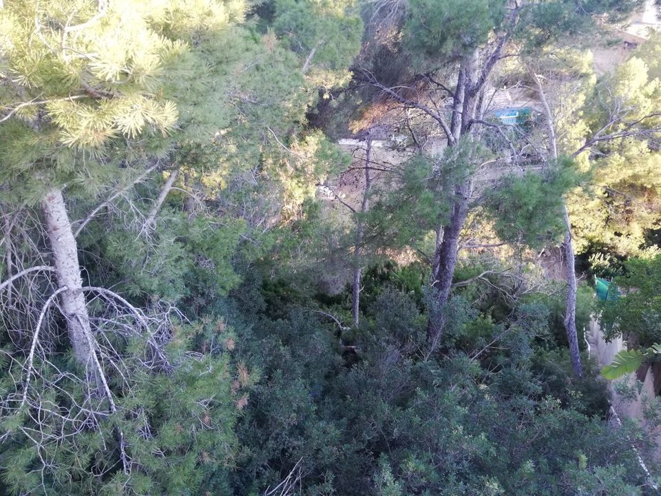 Villa i Costa De La Calma, Mallorca - foto 4