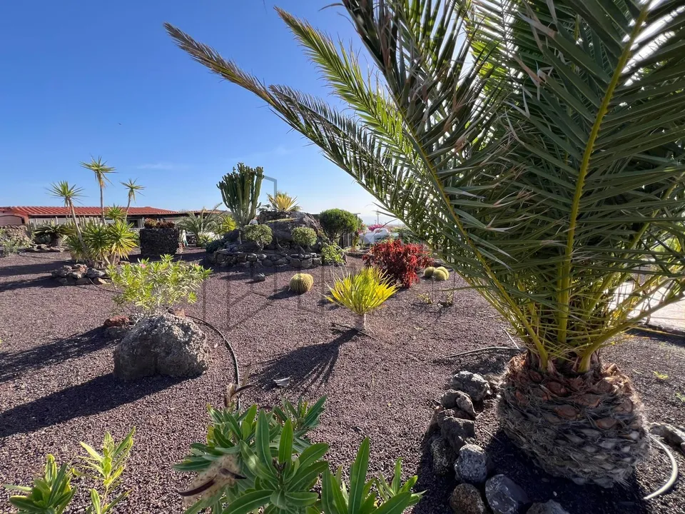 Villa i Parque Holandes, Fuerteventura - foto 3