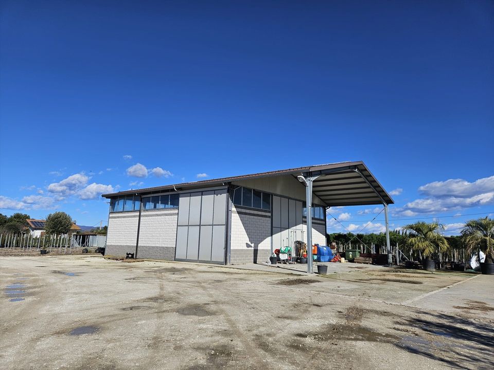 L'establiment comercial a Castiglione del Lago, Perugia - foto 3