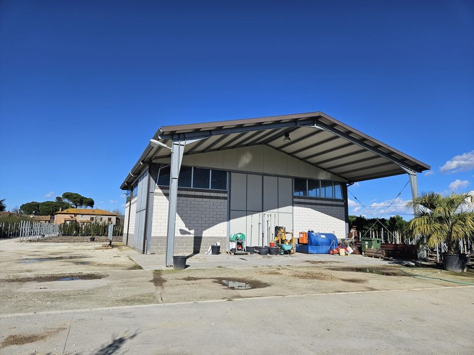 L'establiment comercial a Castiglione del Lago, Perugia - foto 4