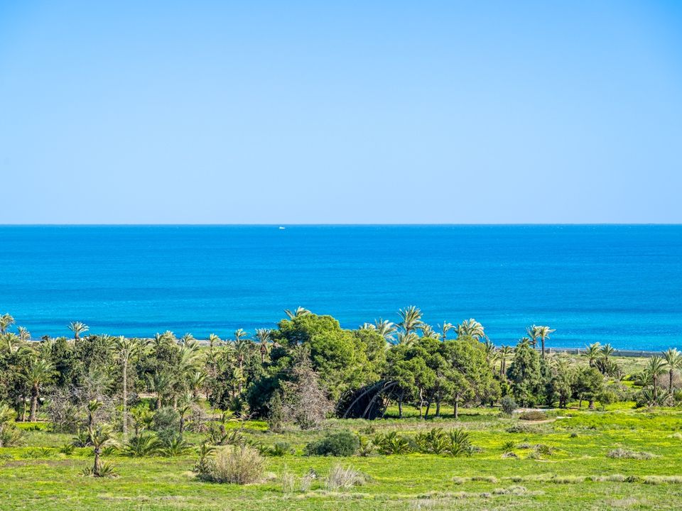 Lejlighed i Punta Prima, Alicante - foto 1