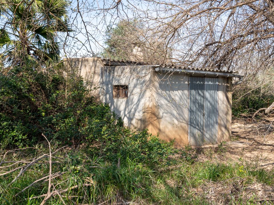 Finca i Tortosa, Tarragona - foto 4