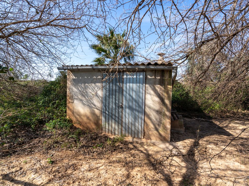 Finca i Tortosa, Tarragona - foto 1