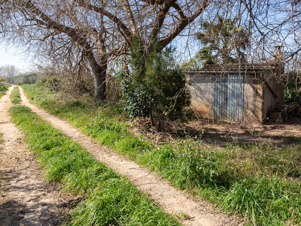 Finca i Tortosa, Tarragona - foto 3