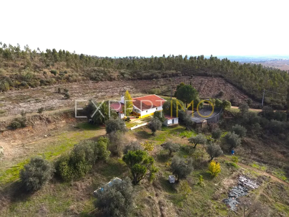 Farm i Vidigueira, Beja - foto 1