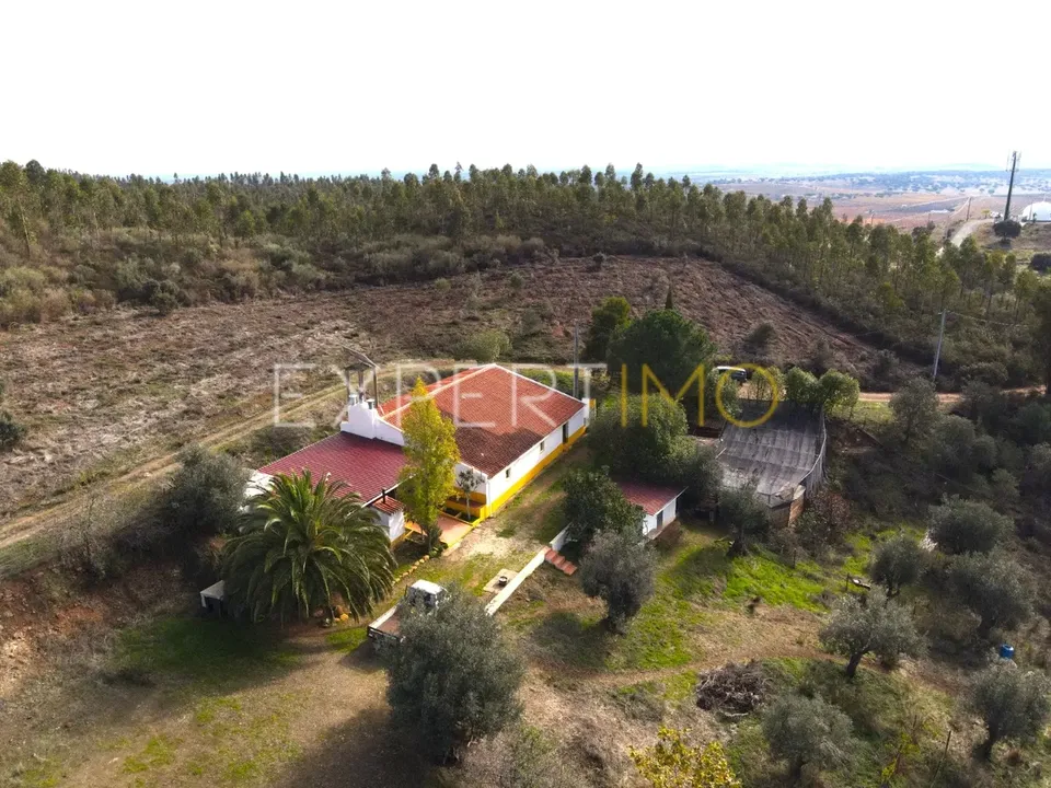 Farm i Vidigueira, Beja - foto 2