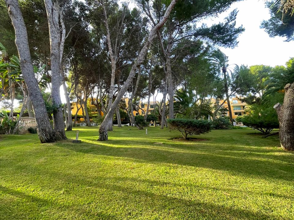 Lejlighed i Nova Santa Ponsa, Mallorca - foto 4