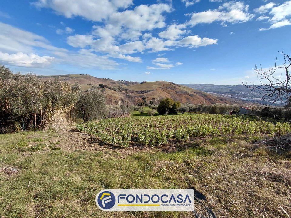 Tomt i Ascoli Piceno, Ascoli Piceno - bilde 2