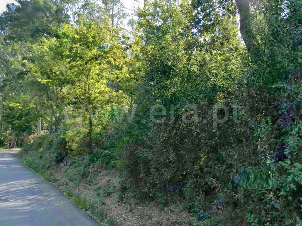 Helårsgrund i Oliveira de Azemeis, Aveiro - foto 4