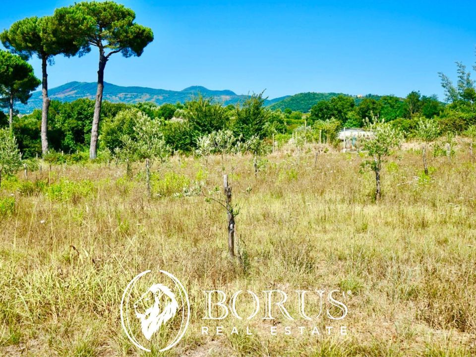 Helårsgrund i Sessa Aurunca, Caserta - foto 2