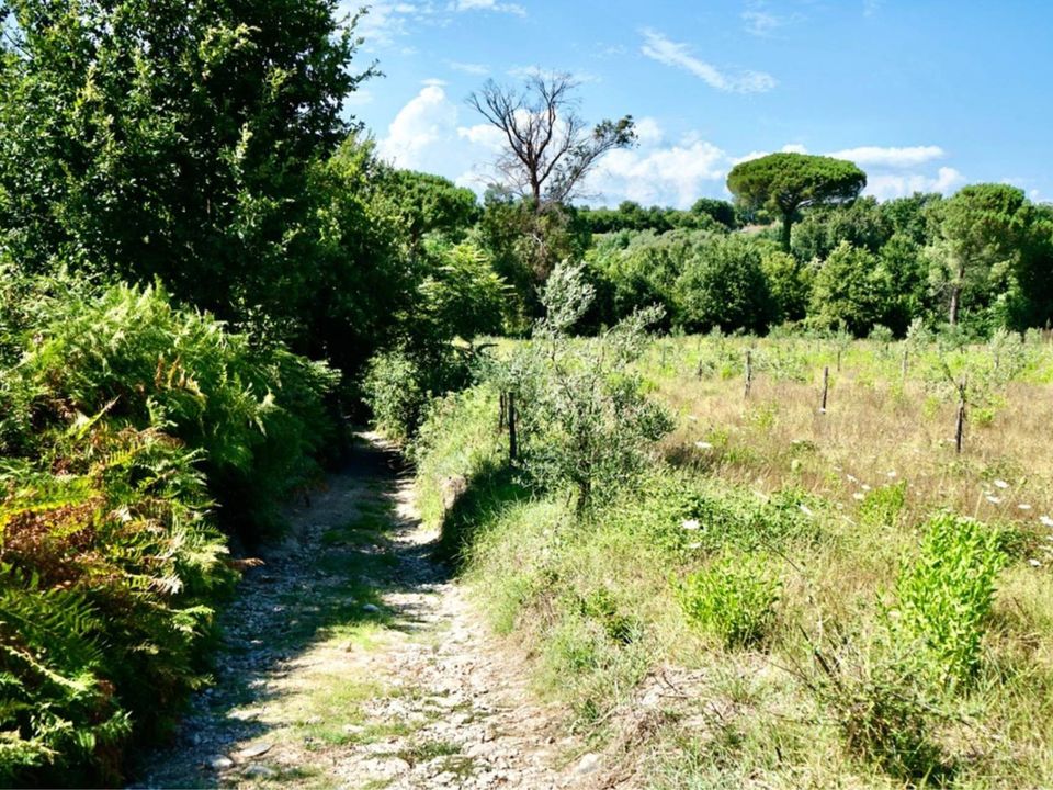 Helårsgrund i Sessa Aurunca, Caserta - foto 5