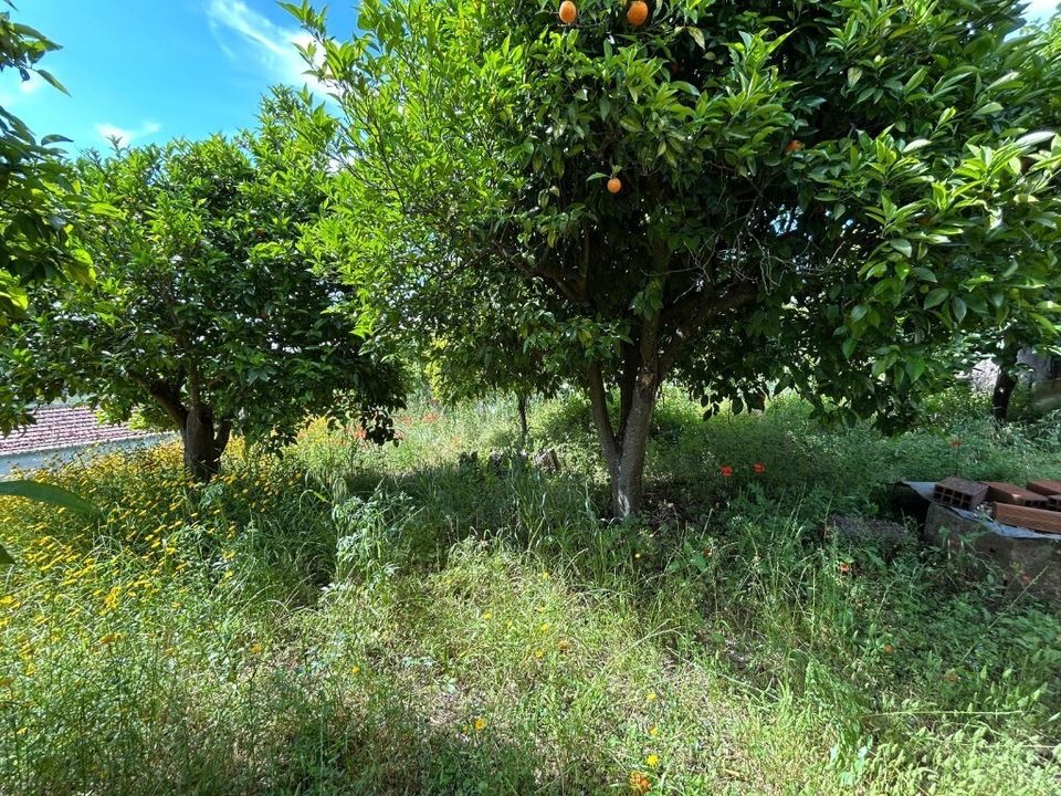 Byhus i Ferreira do Zezere, Santarem - foto 5