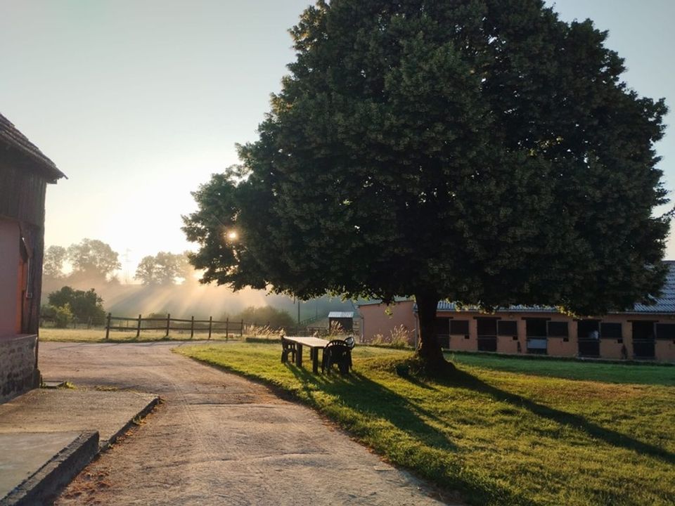Farm i Pervenchères, Orne - foto 4