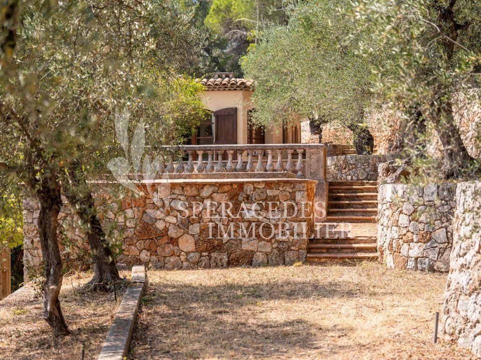 Landejendom i Grasse, Alpes-Maritimes - foto 5