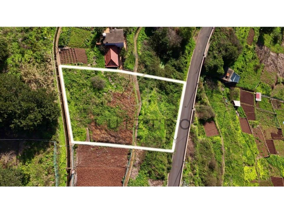 Helårsgrund i Camara de Lobos, Madeira - foto 4