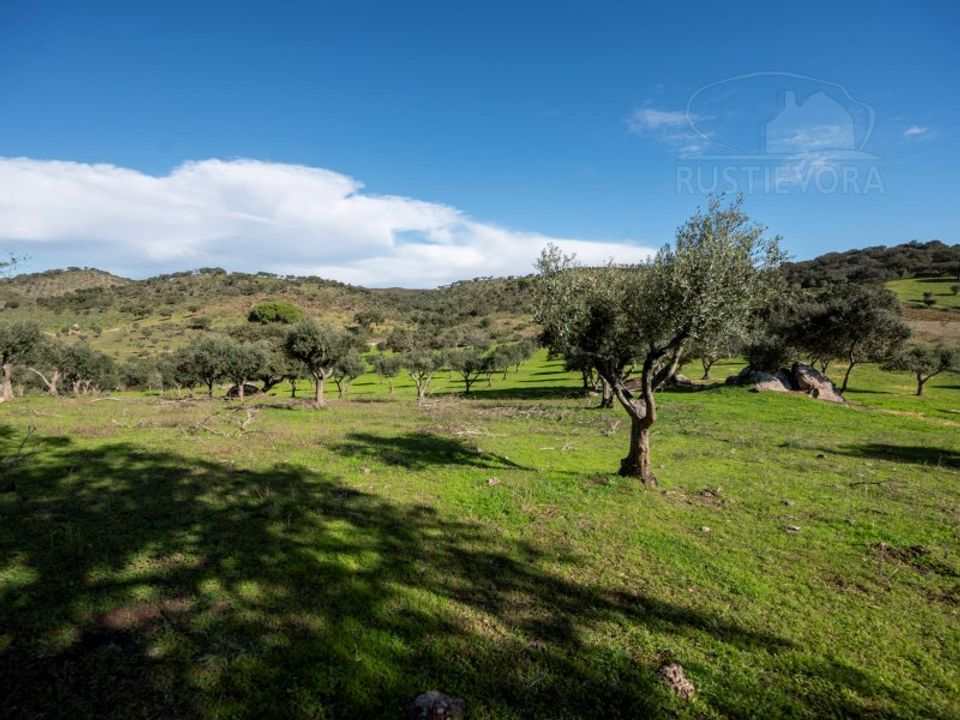 Gård i Vidigueira, Beja - bilde 1