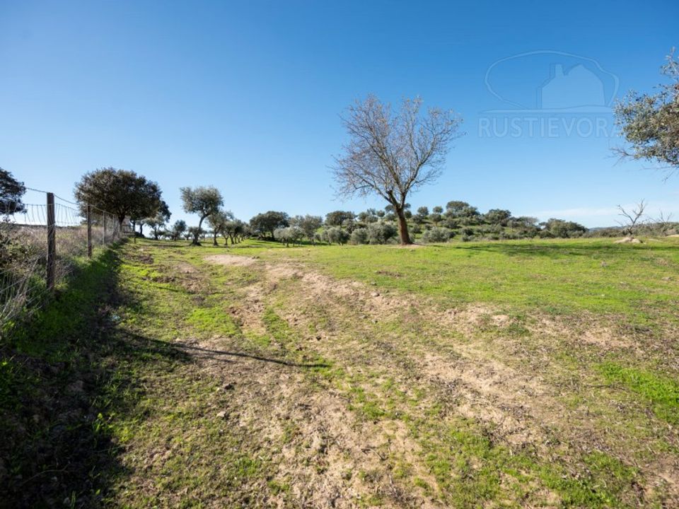 Gård i Vidigueira, Beja - bilde 4