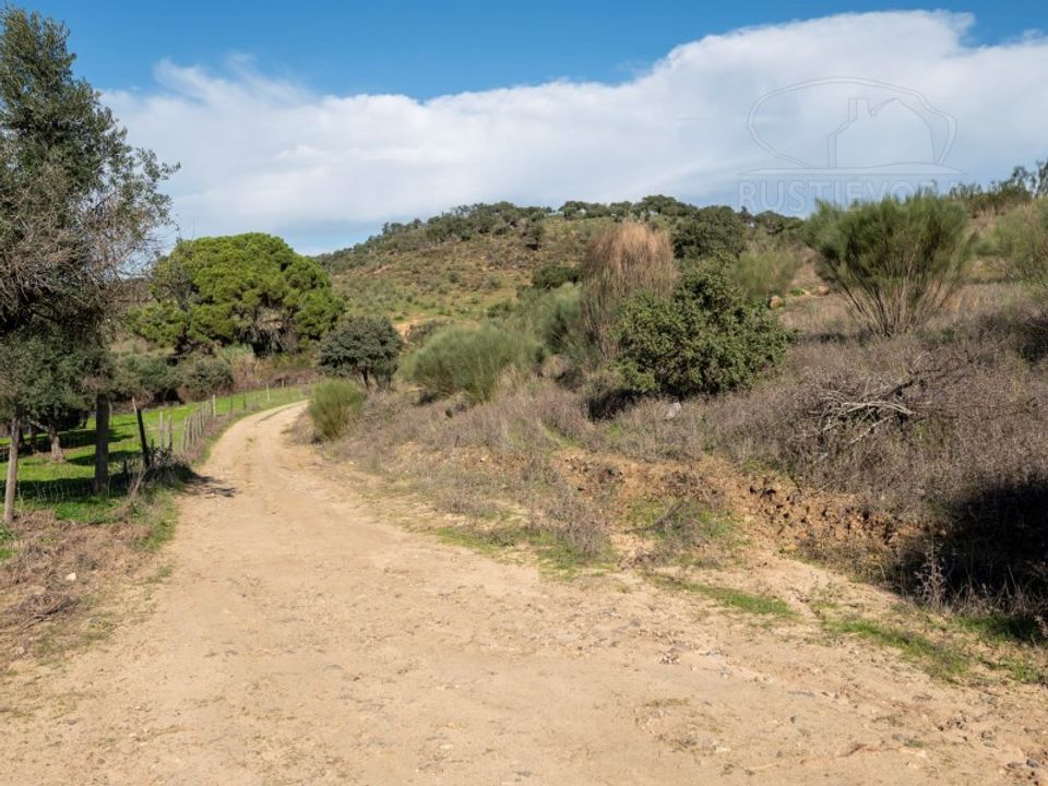 Gård i Vidigueira, Beja - bilde 5