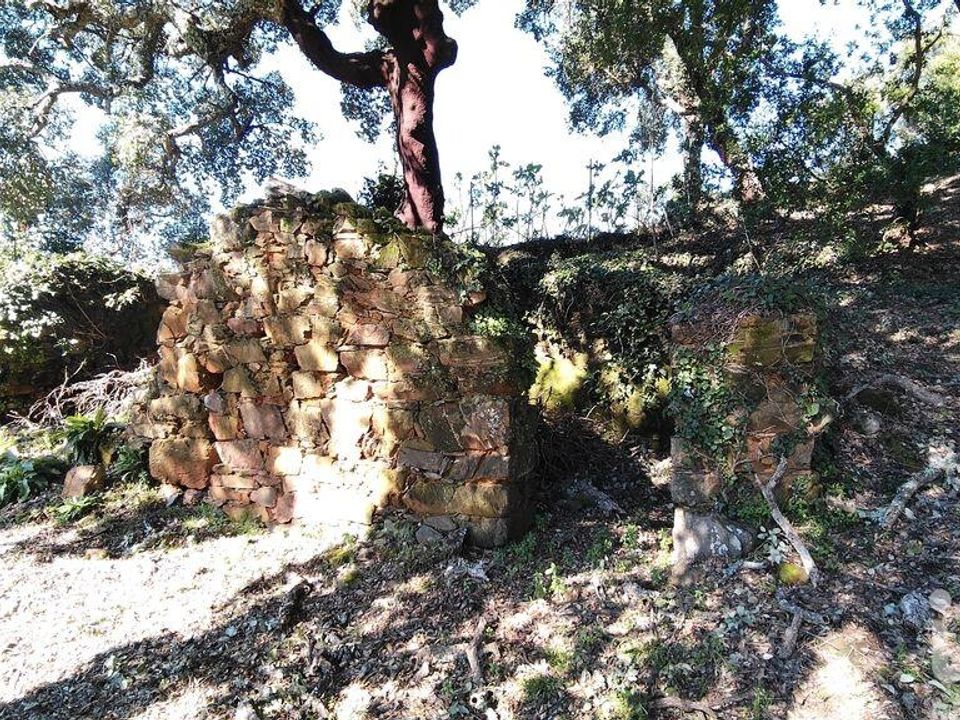 Helårsgrund i Serta, Castelo Branco - foto 2
