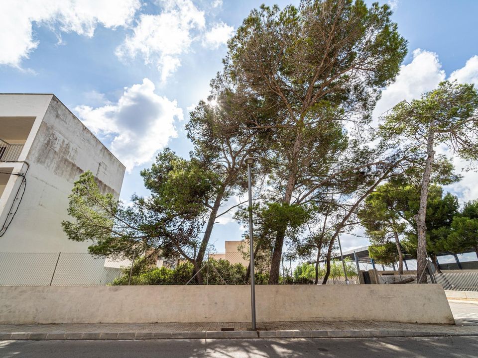 Helårsgrund i Manacor, Mallorca - foto 5