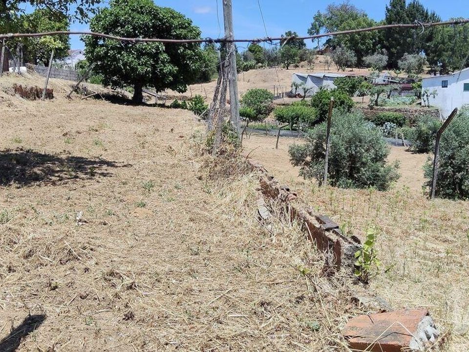 Tomt i Pedrogao Grande, Leiria - bilde 3