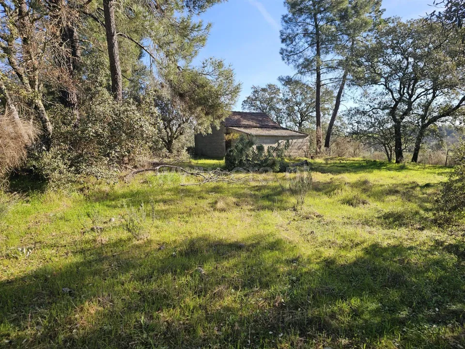 Helårsgrund i Fundao, Castelo Branco - foto 1