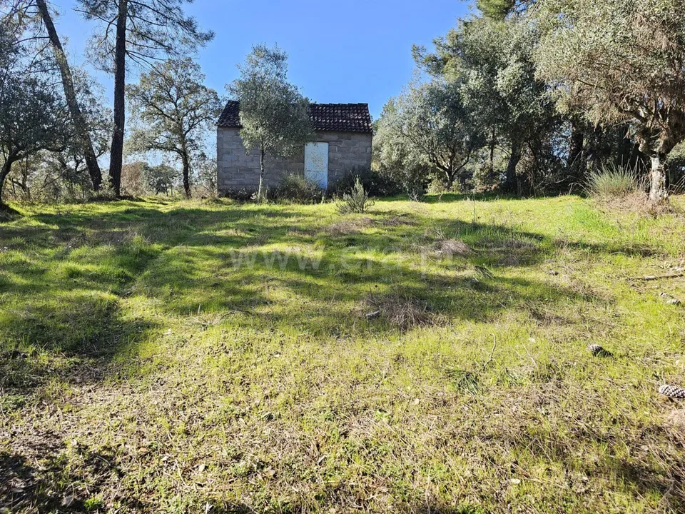 Helårsgrund i Fundao, Castelo Branco - foto 2