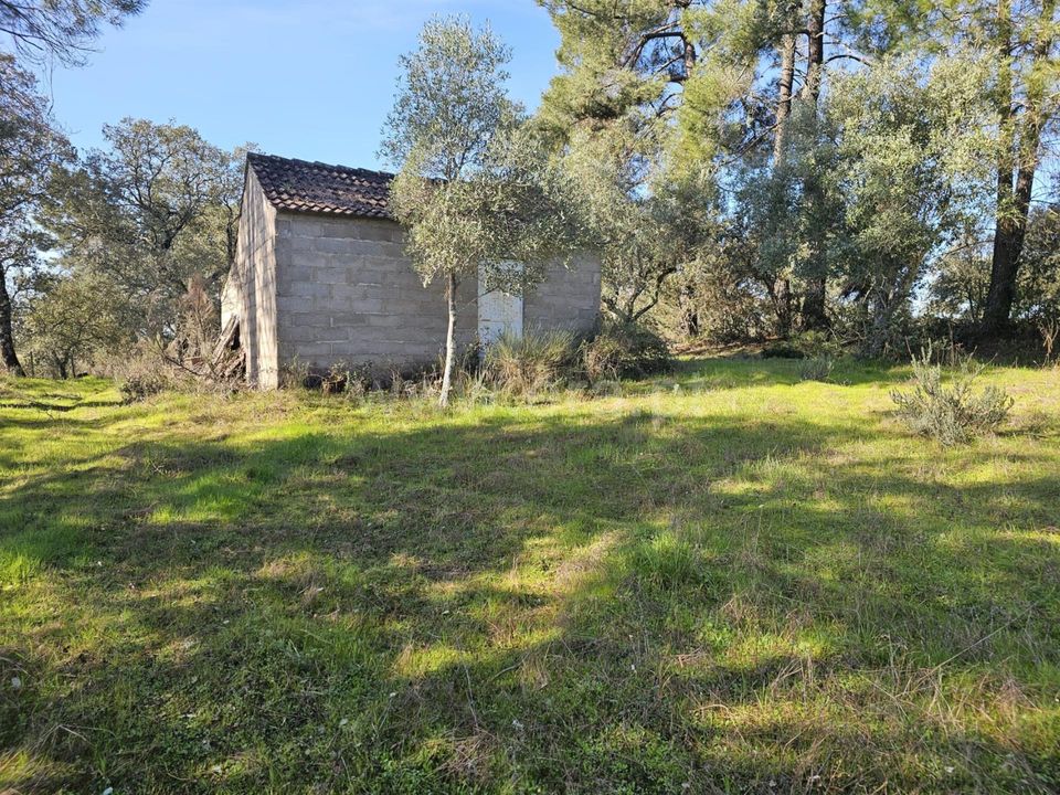 Helårsgrund i Fundao, Castelo Branco - foto 4
