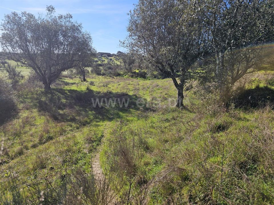 Helårsgrund i Fundao, Castelo Branco - foto 5