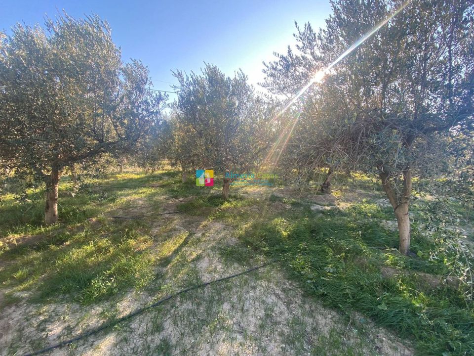 Masia a Fines, Almeria - foto 5