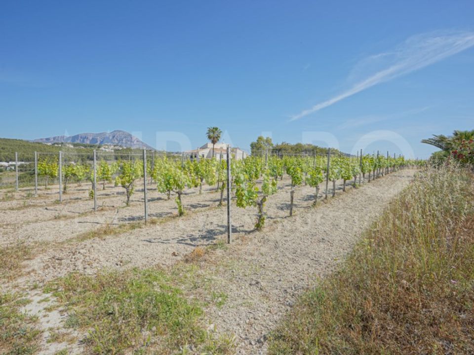 Granja a Alicante, Alicante - foto 5