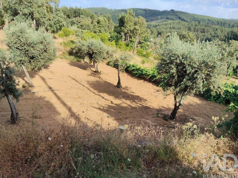 Byhus i Serta, Castelo Branco - foto 2