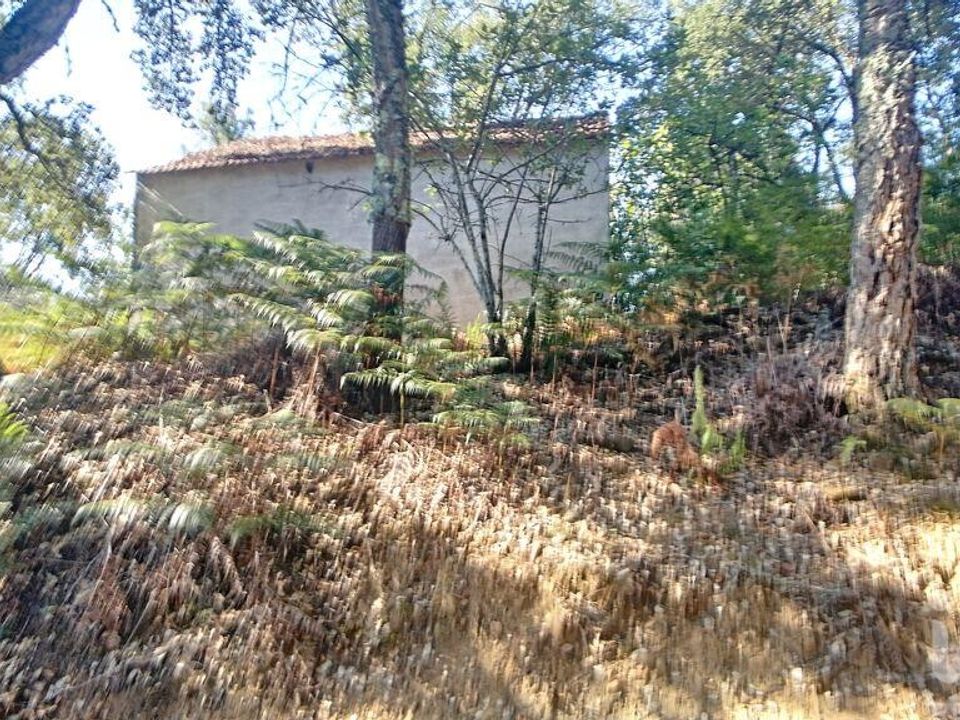 Rekkehus i Pedrogao Grande, Leiria - bilde 1