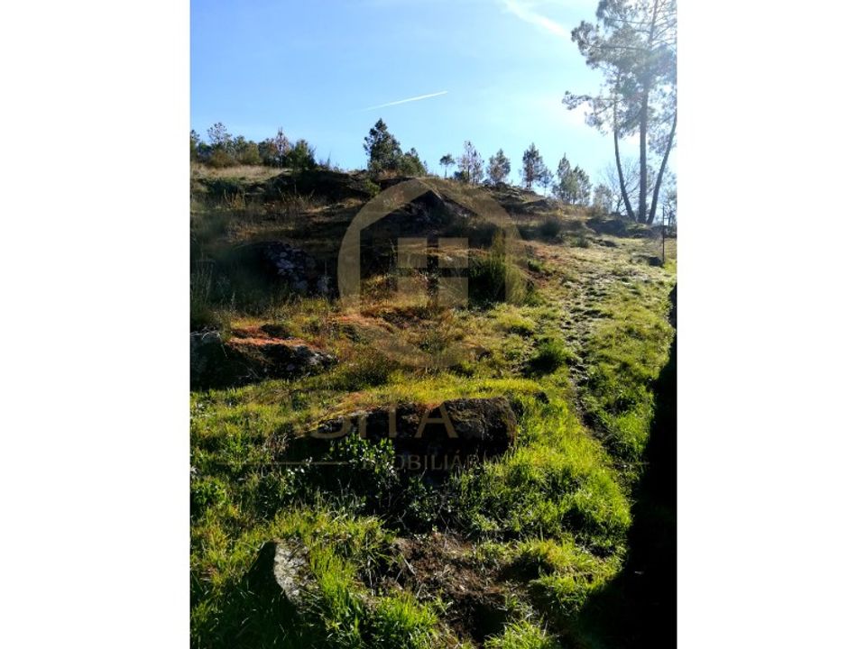 Tomt i Abraveses, Viseu - bilde 2