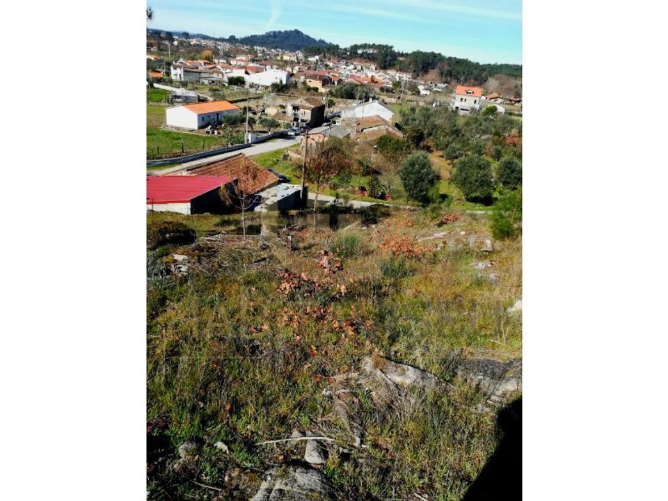 Tomt i Abraveses, Viseu - bilde 5