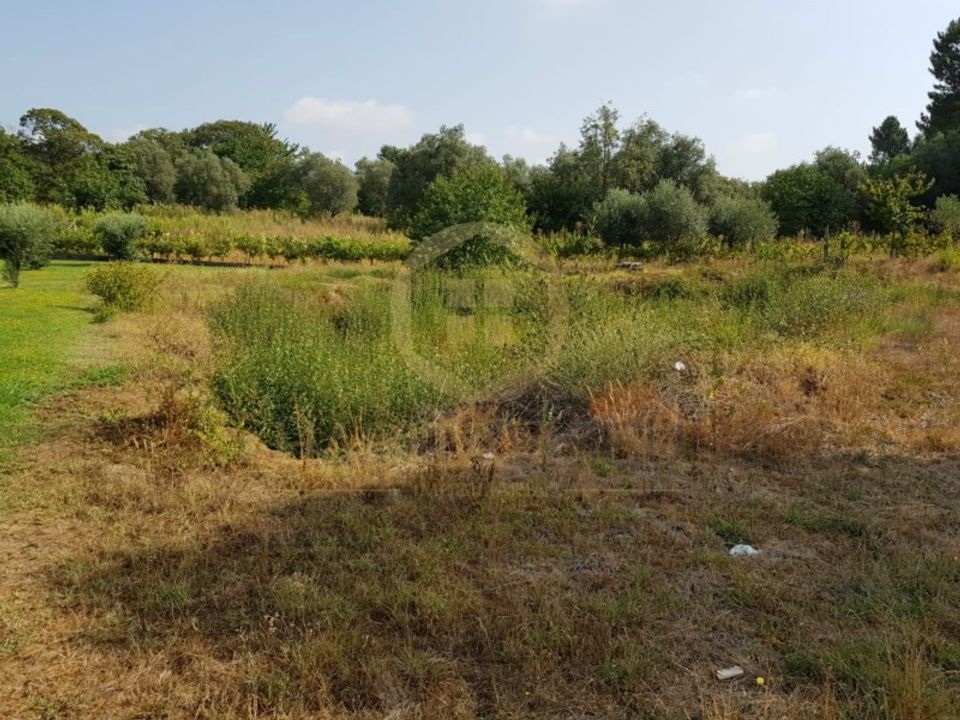 Terreno en Ranhados, Viseu - foto 2