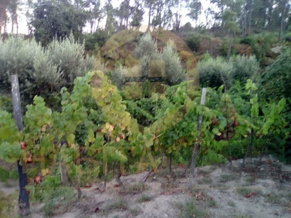 Helårsgrund i Viseu, Viseu - foto 1