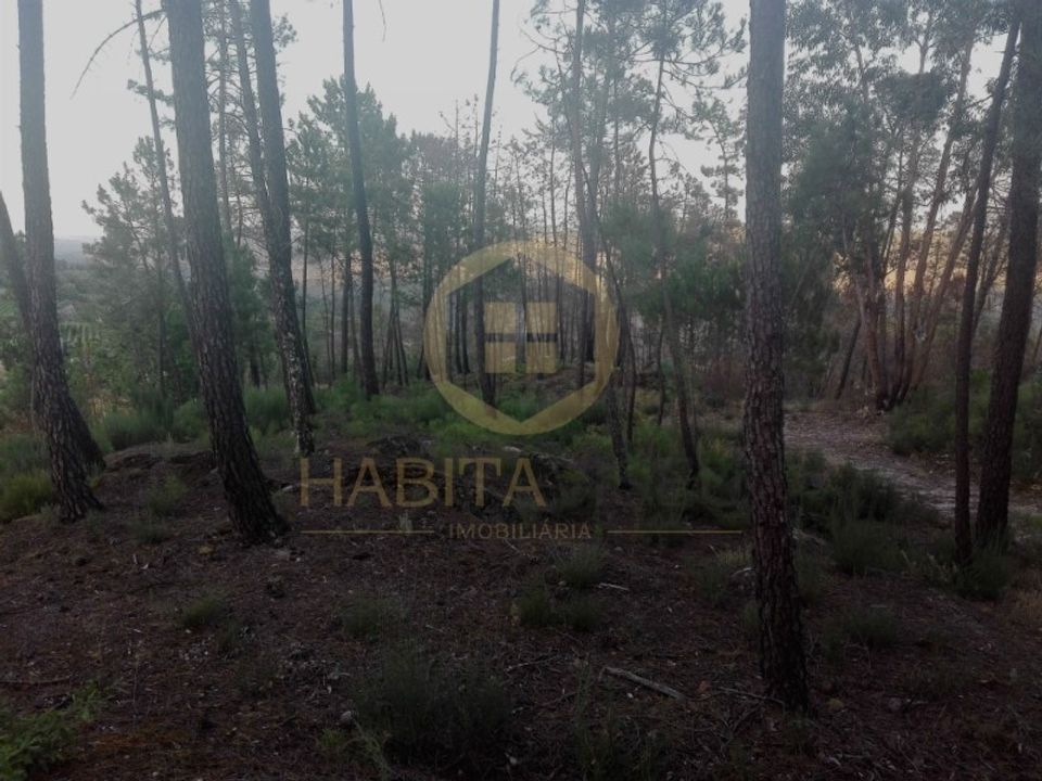 Helårsgrund i Viseu, Viseu - foto 2