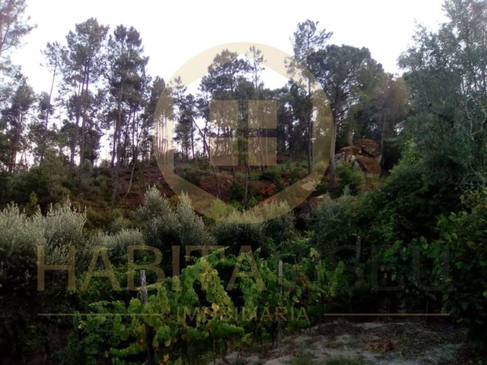 Helårsgrund i Viseu, Viseu - foto 5