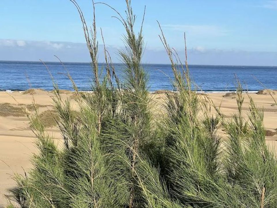 Lejlighed i Playa Del Ingles, Gran Canaria - foto 1