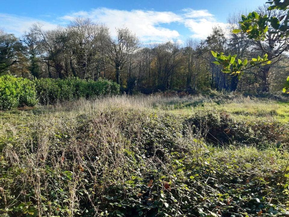 Helårsgrund i Landudec, Finistere - foto 1