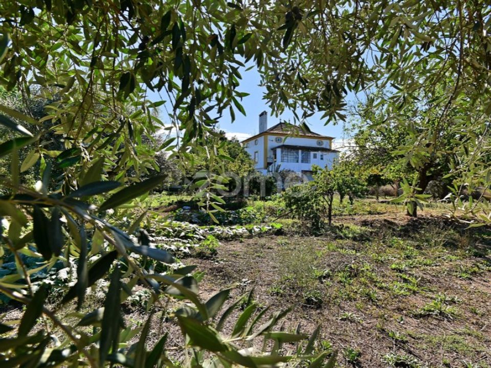 Granja a Abrantes, Santarem - foto 2