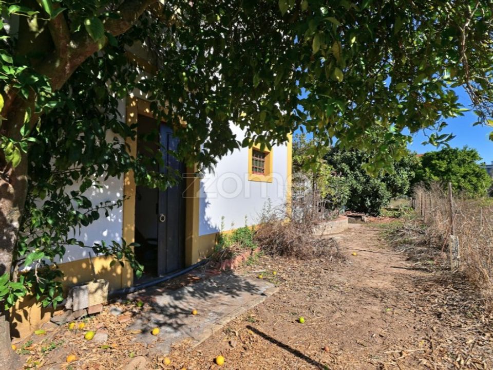 Gård i Abrantes, Santarem - bilde 1