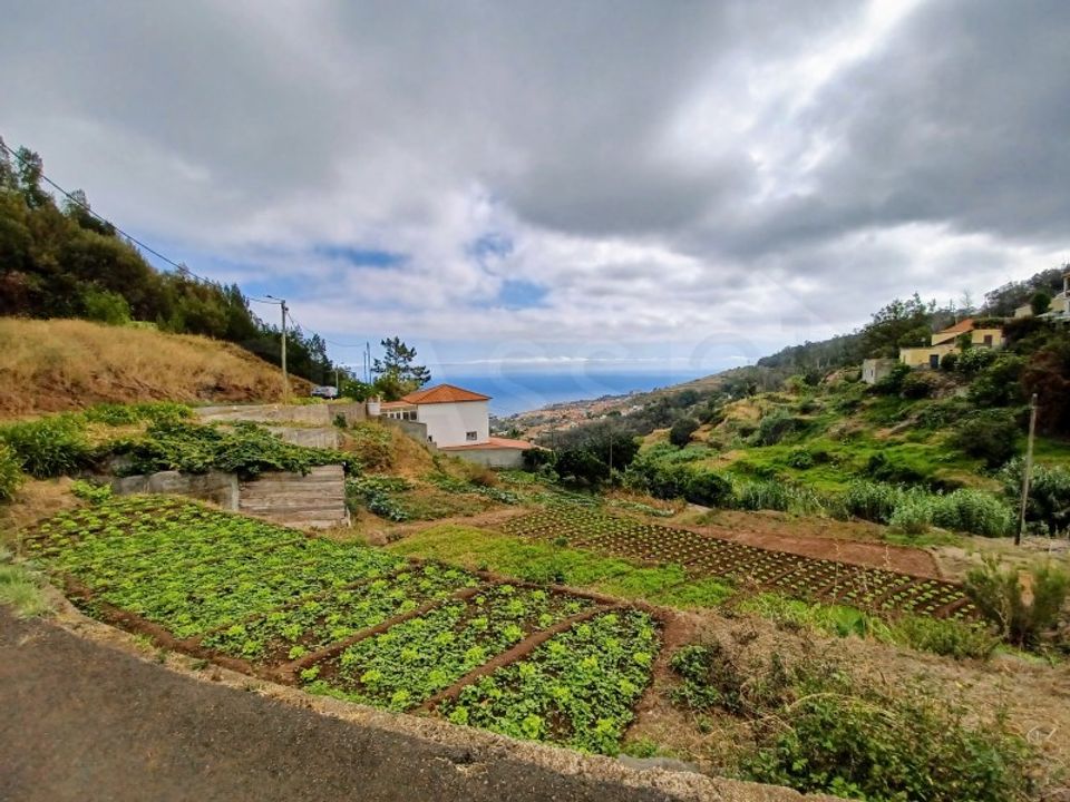 Helårsgrund i Caniço, Madeira - foto 3